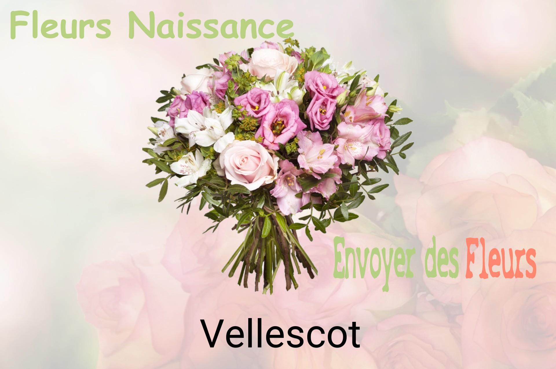 Bouquet de fleurs de naissance livré à Vellescot