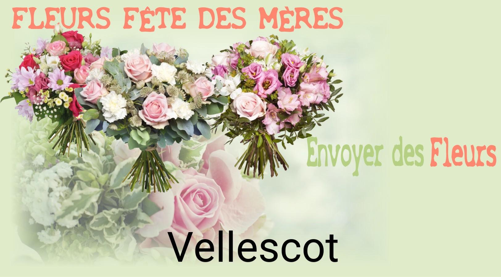 Bouquet de Fête des Mères livré à Vellescot